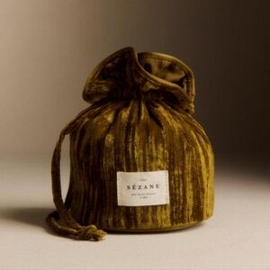 Sezane Velvet Pouch NWT